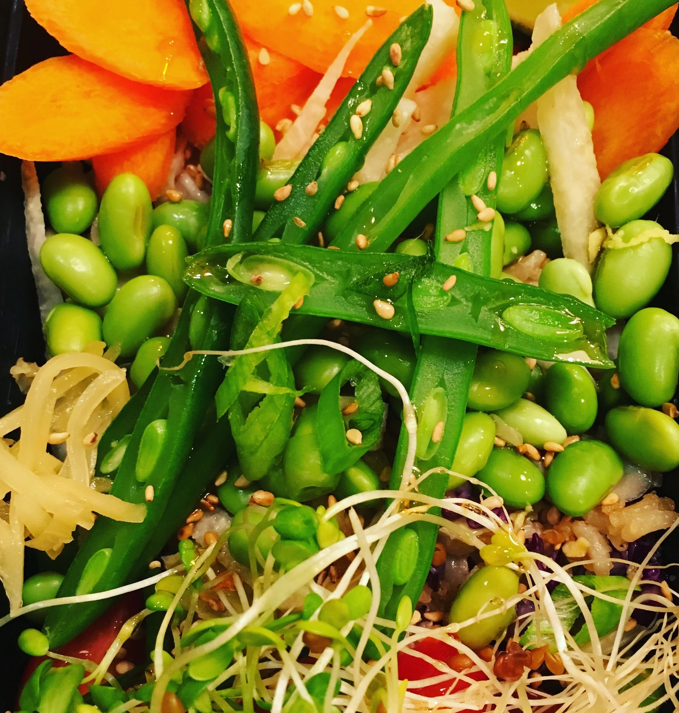 Raw Fit Salad with Edamame, Carrot, String Beans, and Sesame Seeds