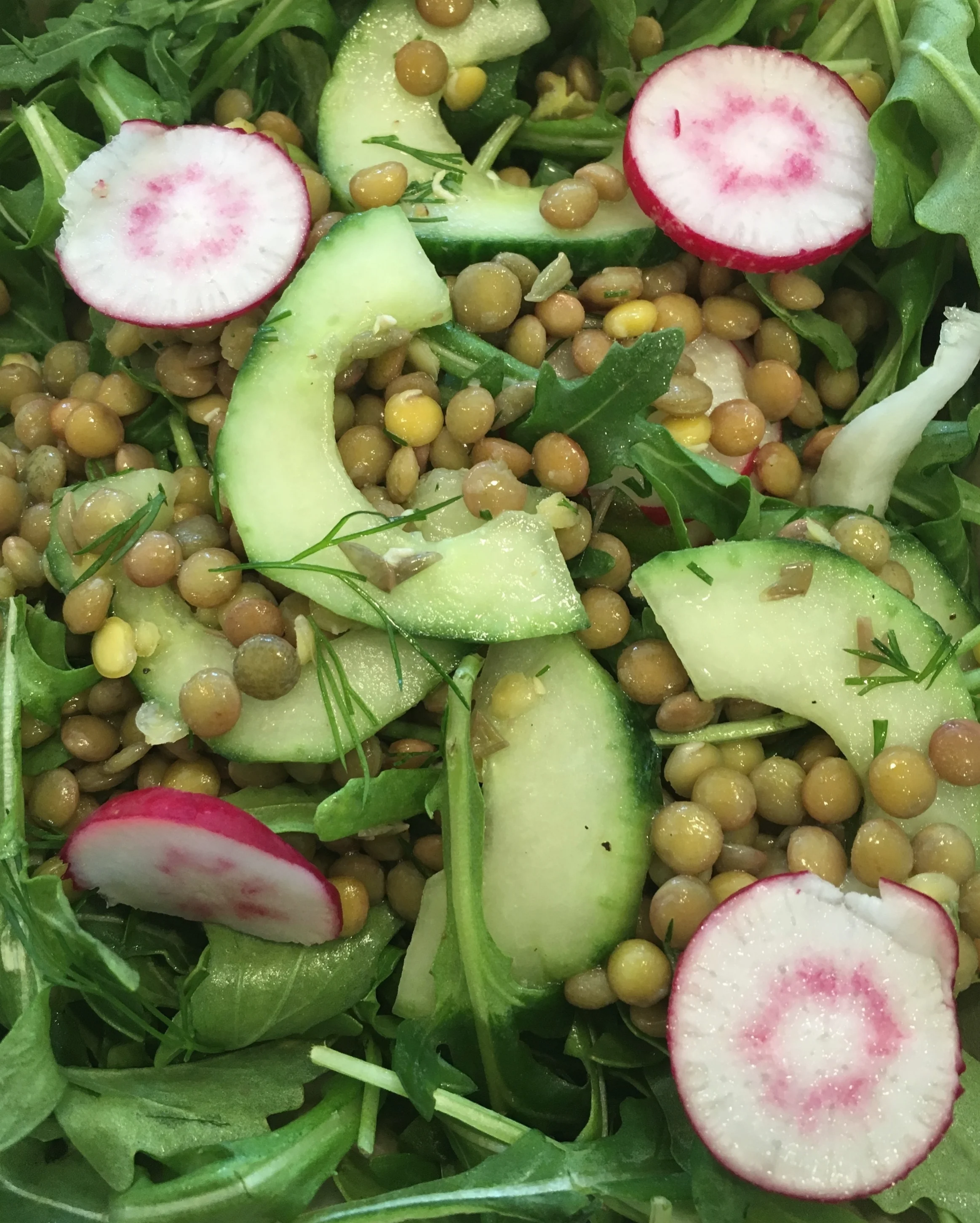 Lentil Arugula Salad with Radish, Dill and Cucumber