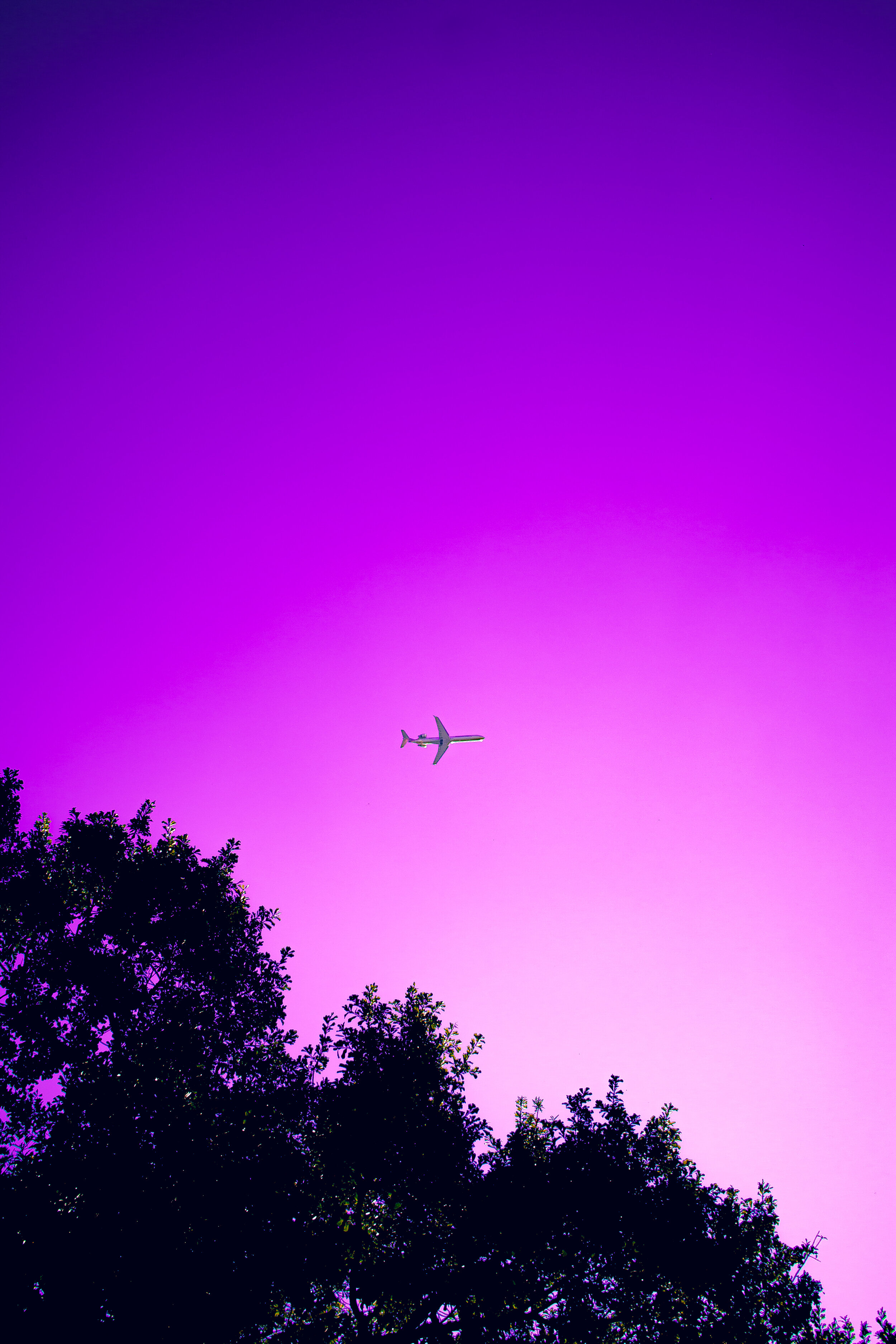 Airplane Mode.jpg