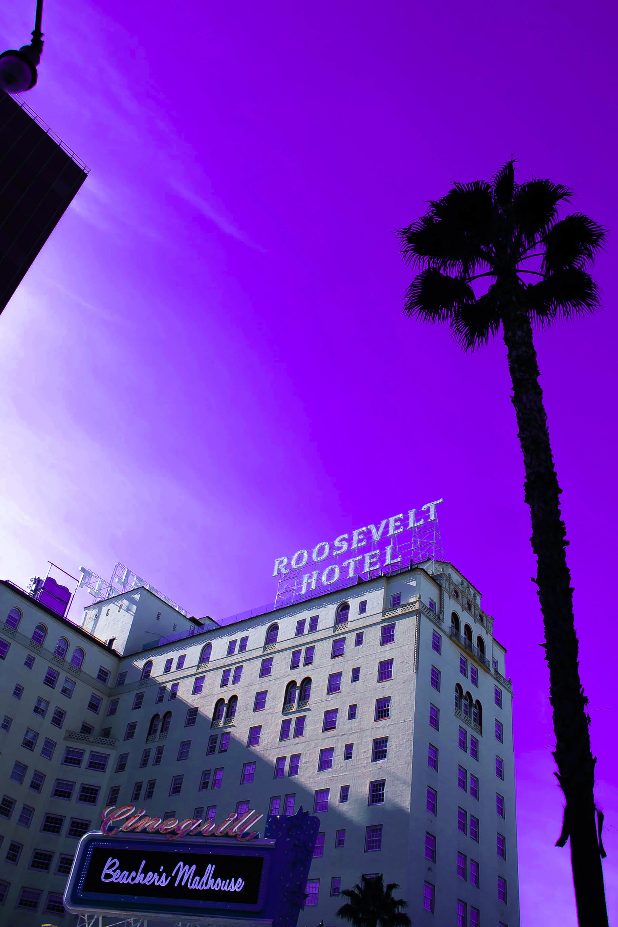 Last Trip.jpg