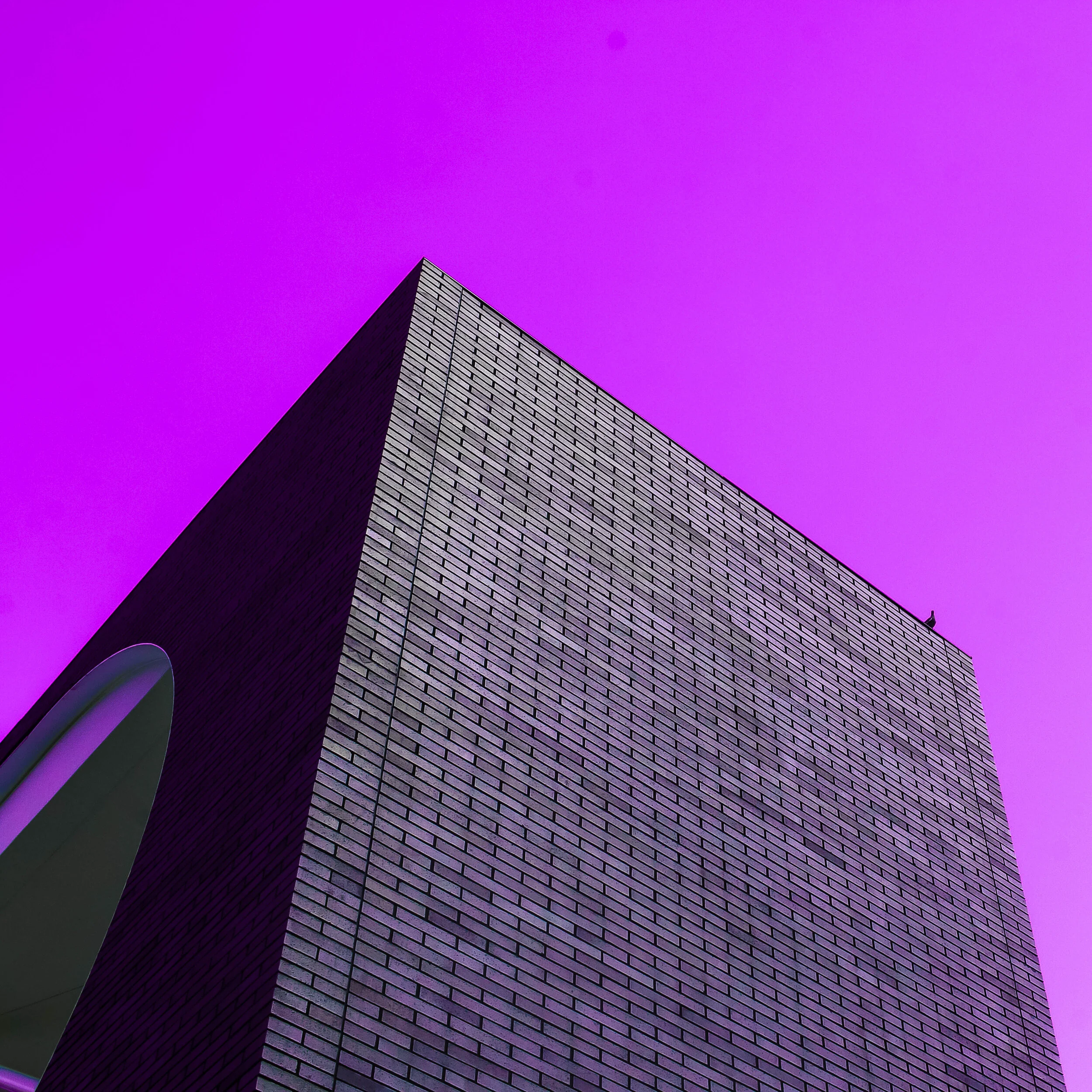 The Watcher.jpg