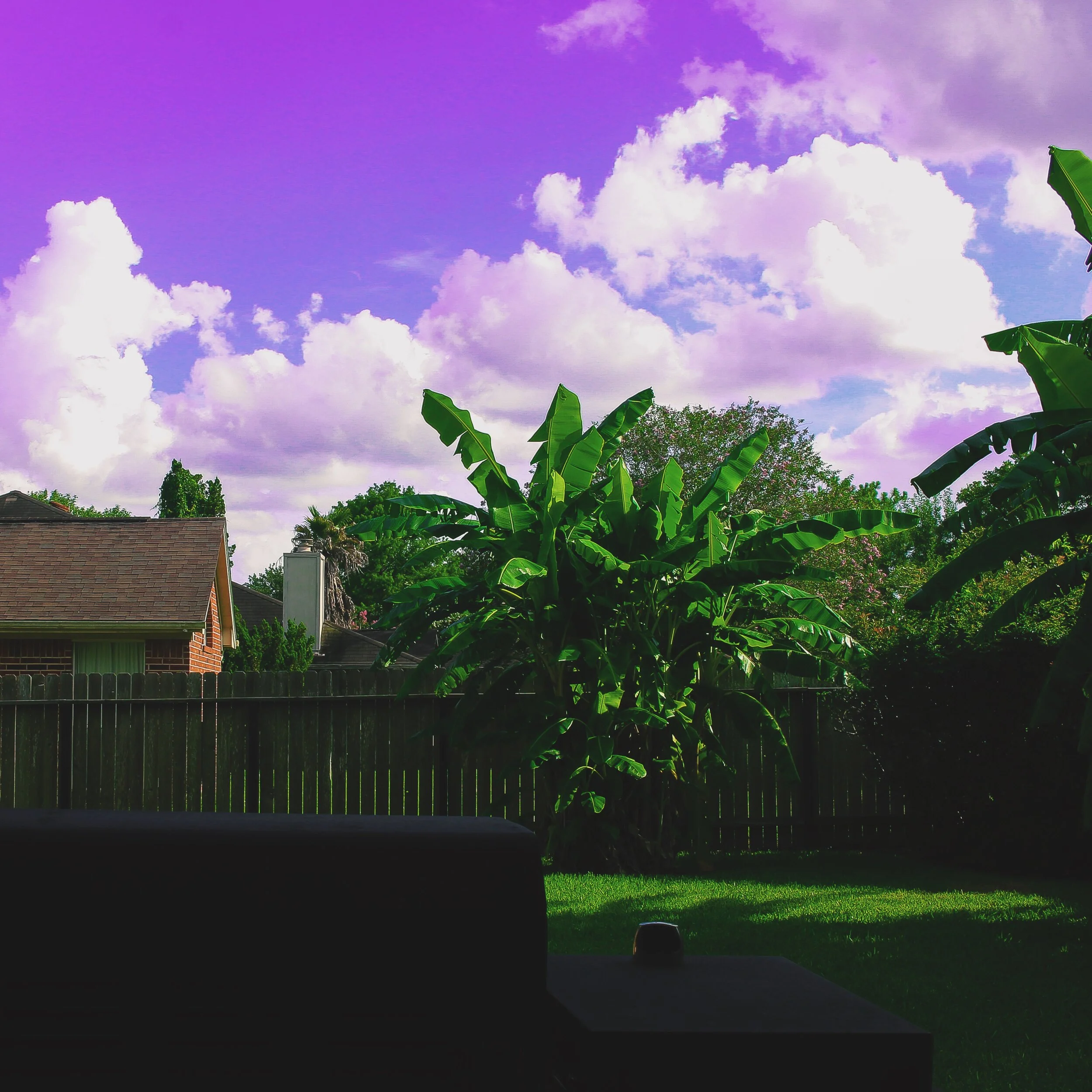 TRiPPY SUMMER.JPG