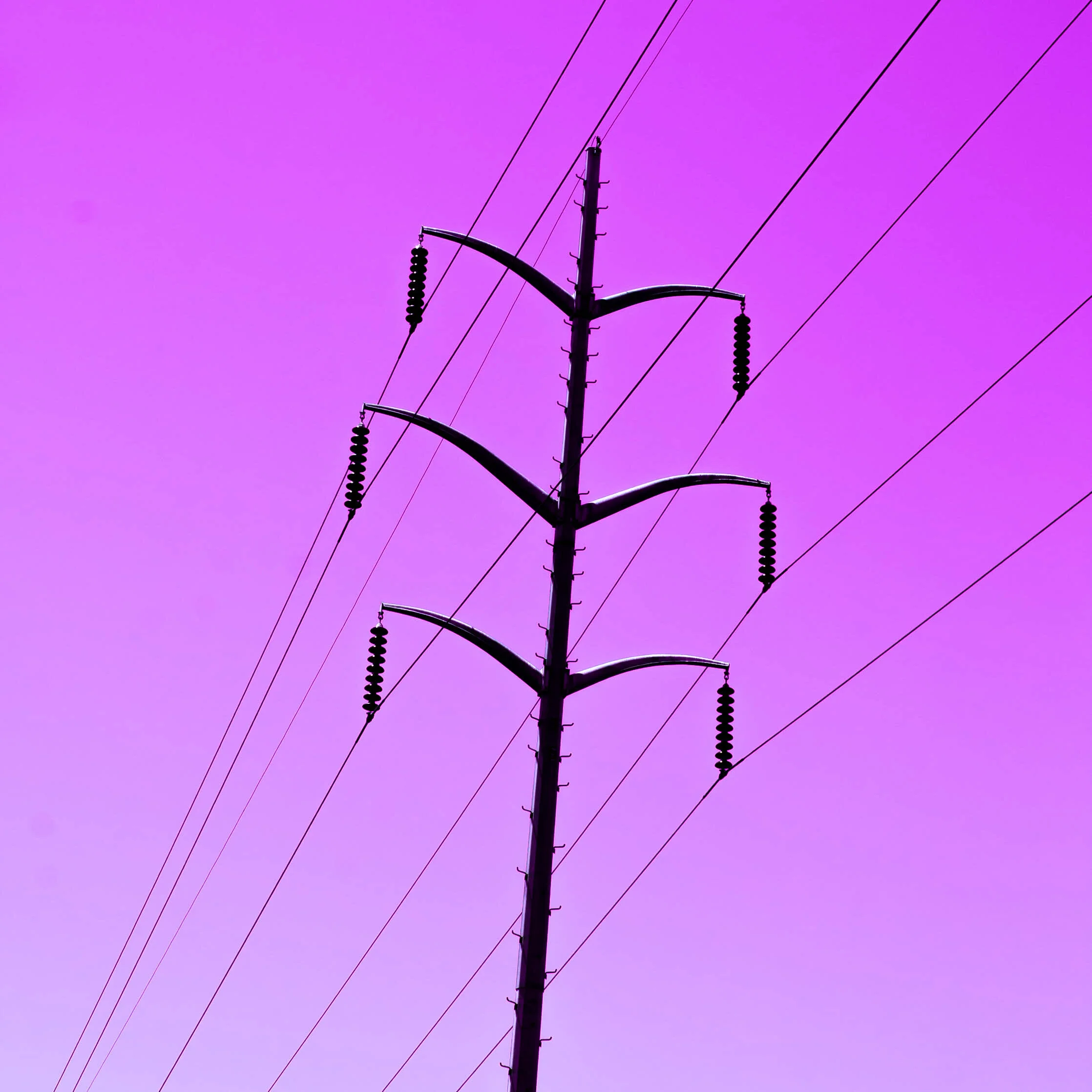 WiRED.jpg
