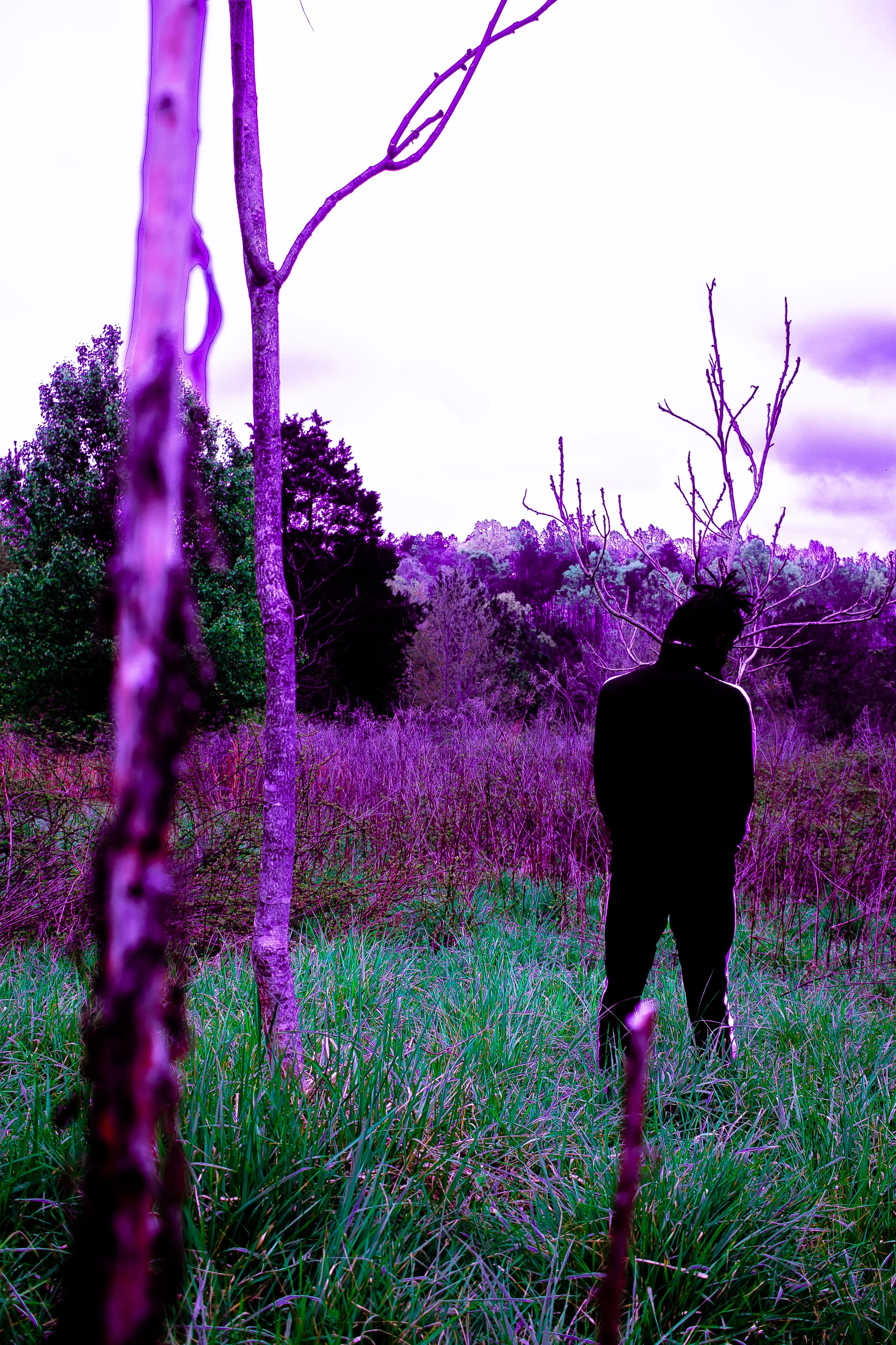 Solitude.jpg