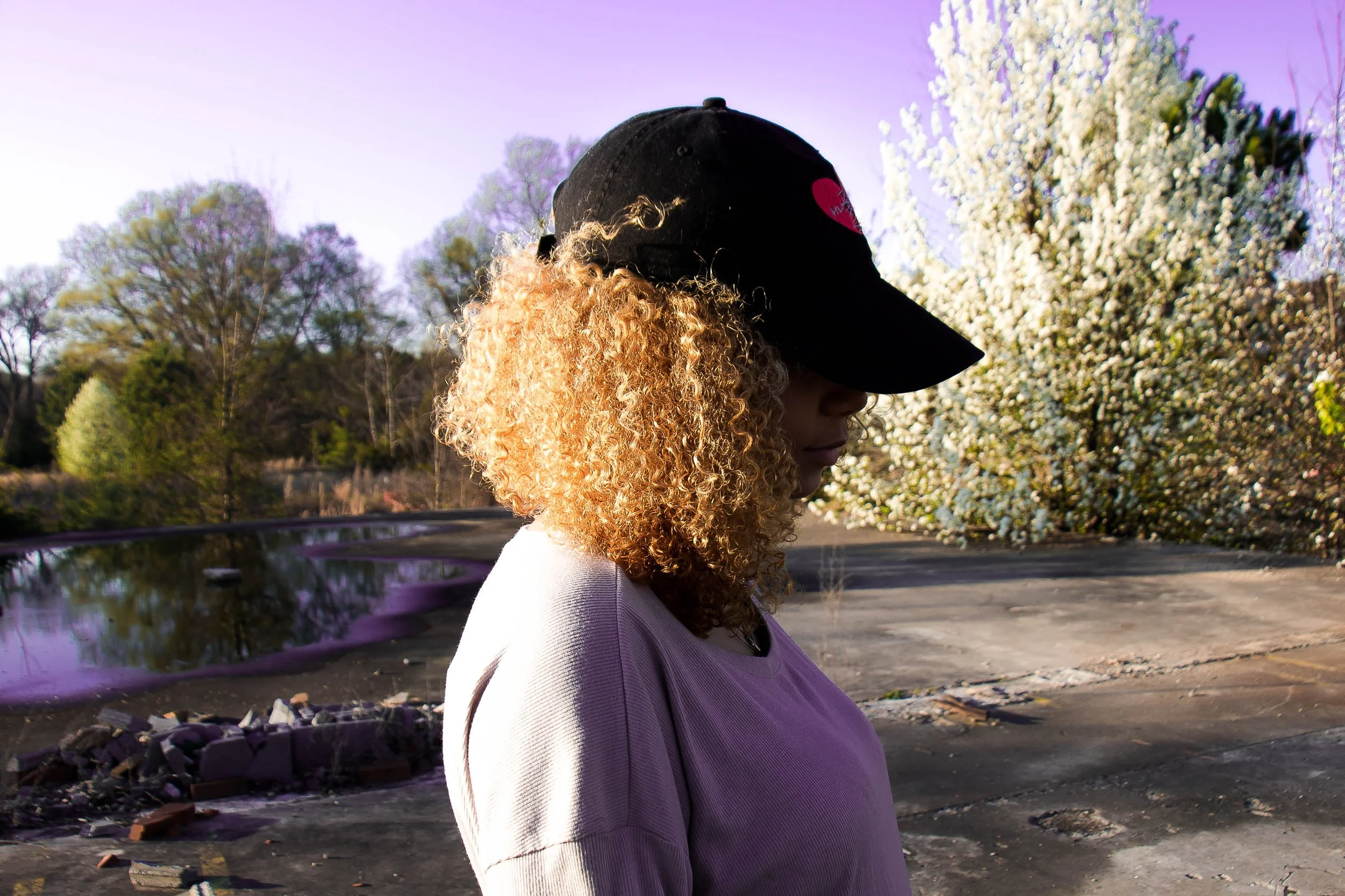 SiERRA.jpg
