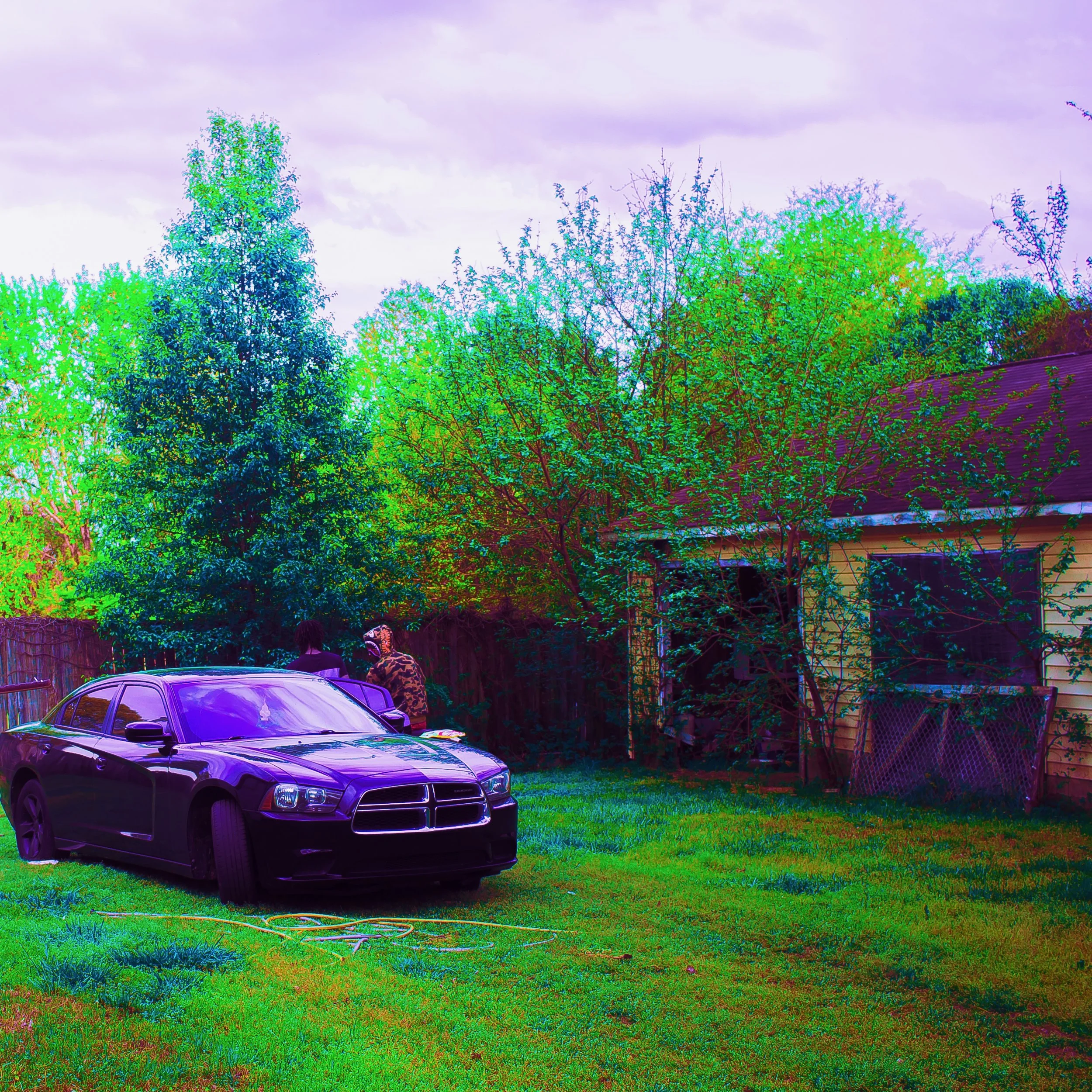 IMG_6611.jpeg