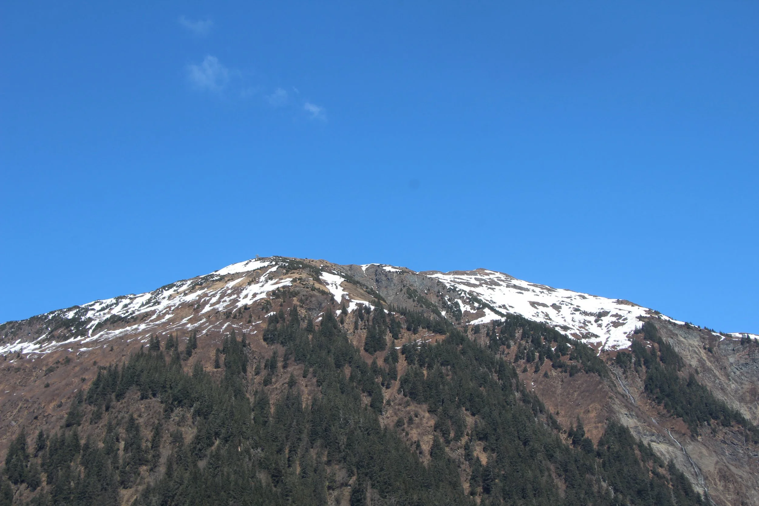 IMG_1608.JPG