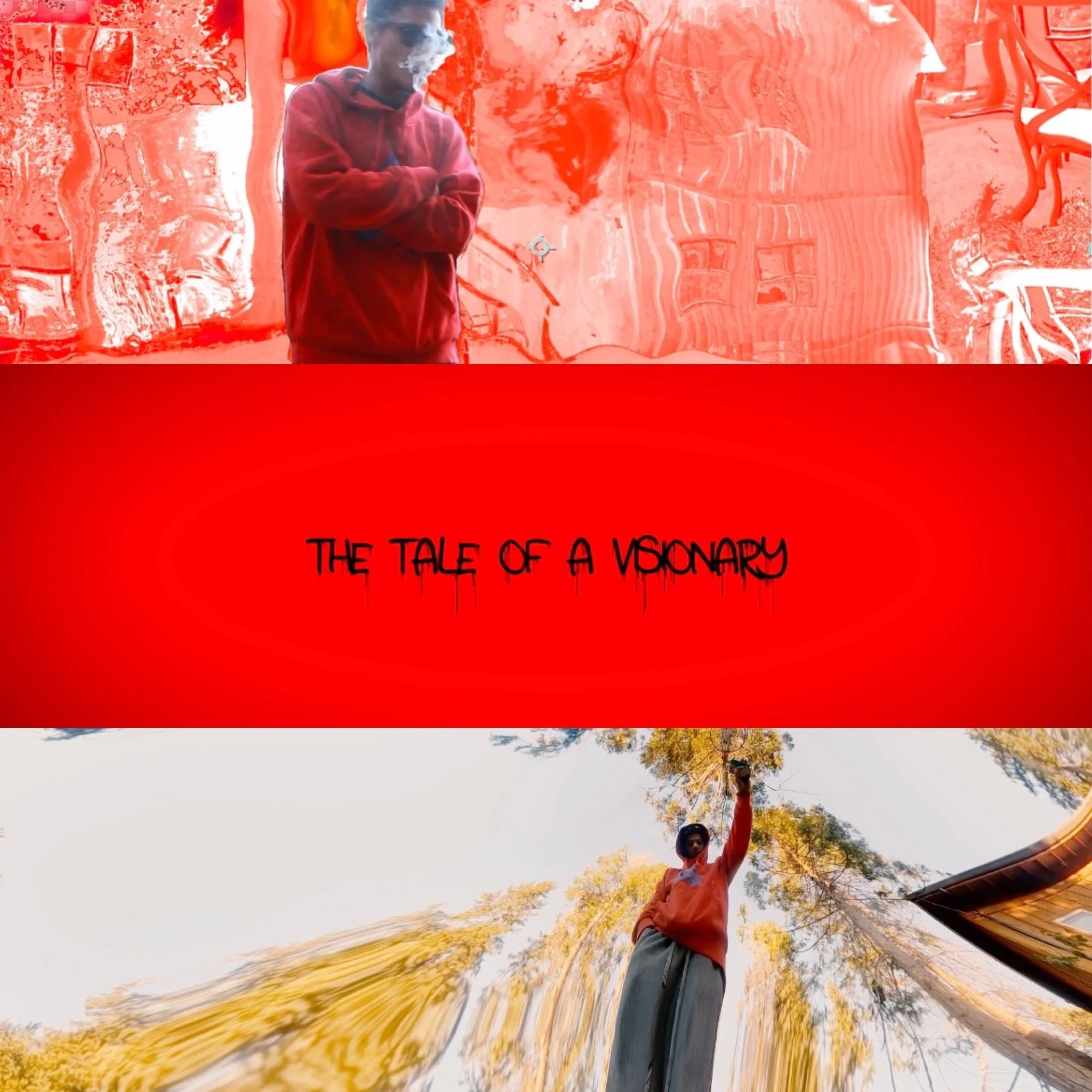 TheTaleofAVisionary.JPG