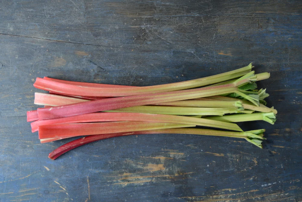 Rhubarb.JPG