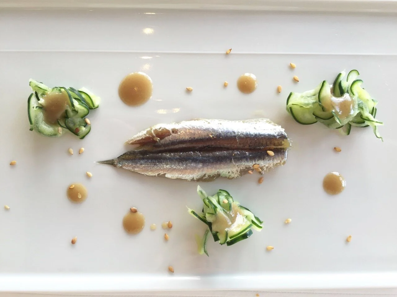 sardine blank.jpeg