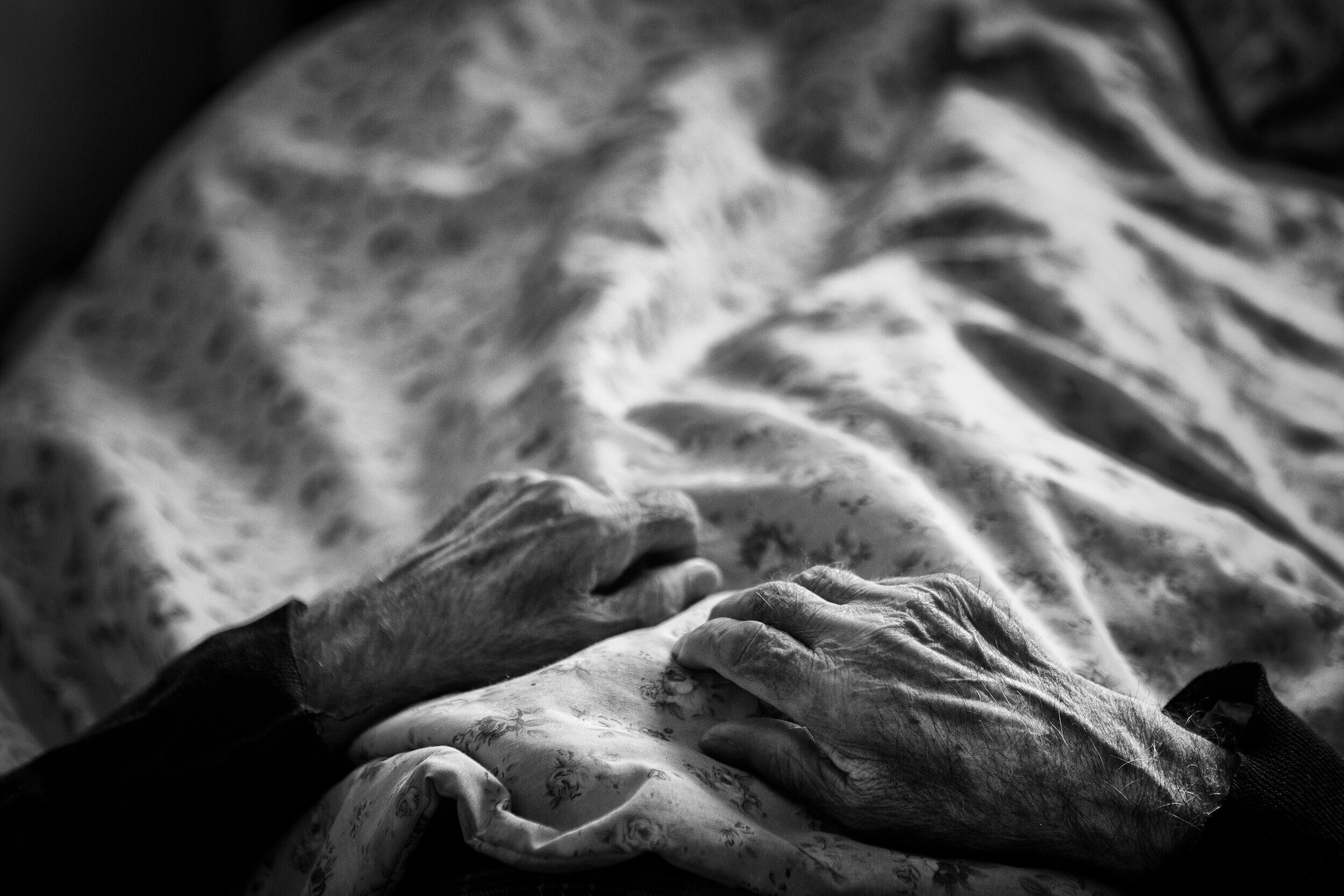  Tabriz, Iran. The slim hands of my father on a blanket as he sleeps. These hands are part of our country’s history to me and reminds me of the hardships he resists for his family for many years. 