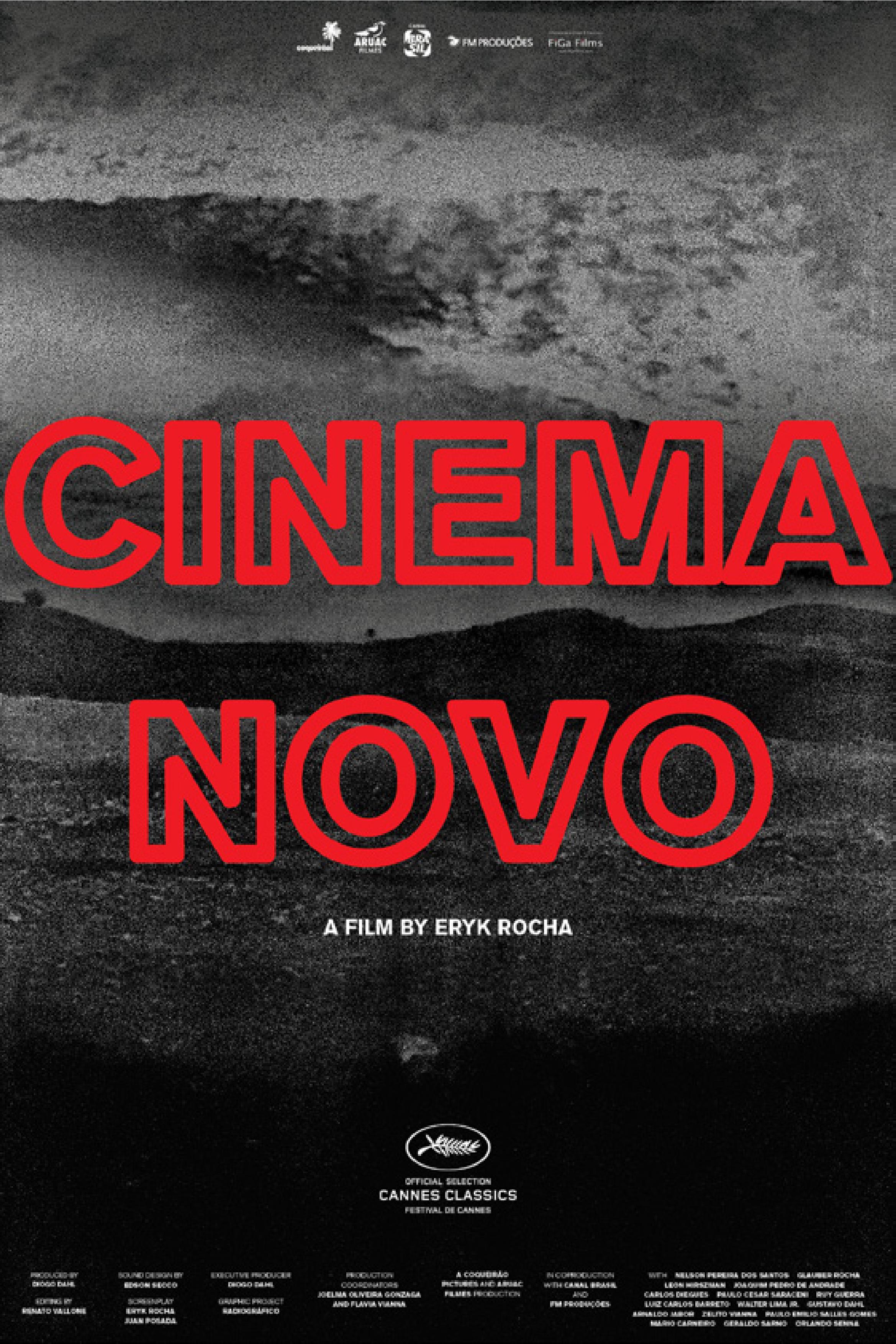 58_Cartaz Cinema Novo.jpg