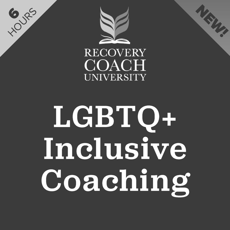 6-LGBTQ++Inc+Coaching_sq.webp