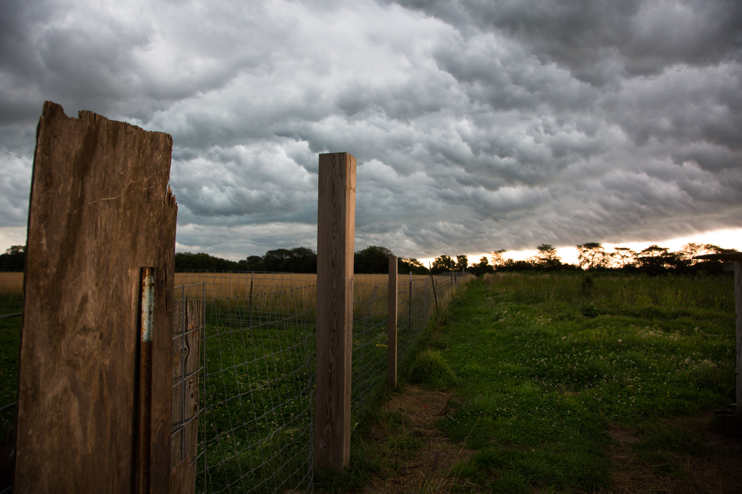 Prairie Storm