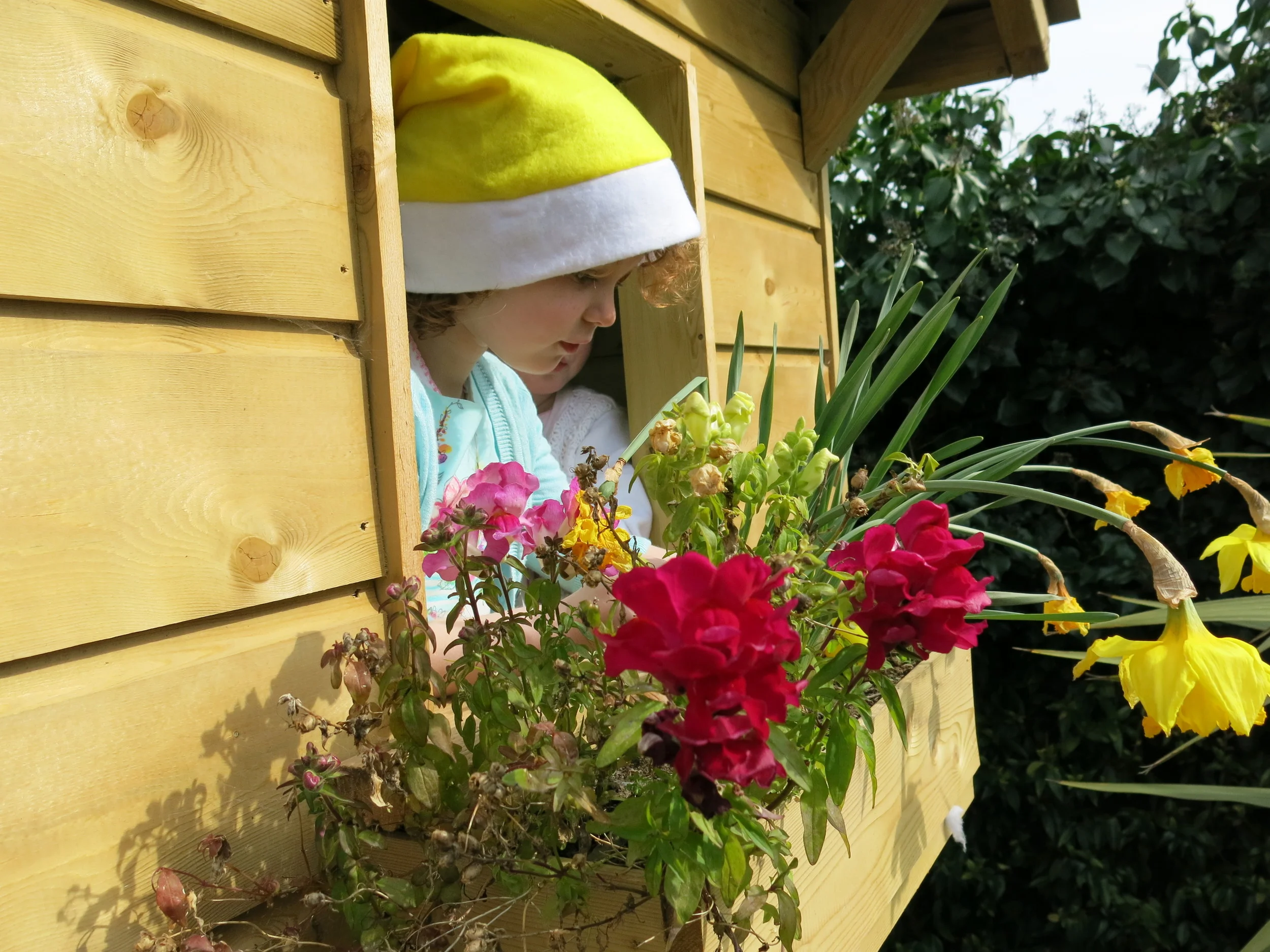 4 Tree House Dublin.JPG