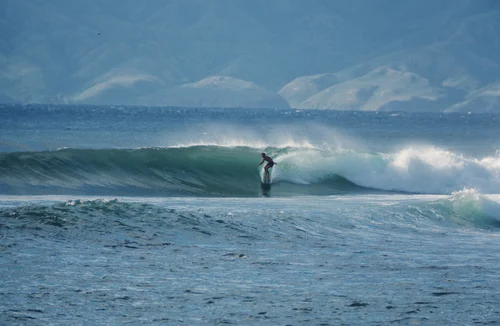 Harbour Surfboards, business photo 1