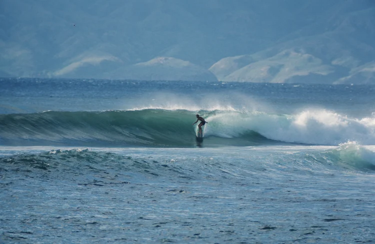 Harbour Surfboards business photo