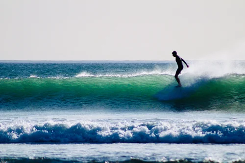 Harbour Surfboards, business photo 8
