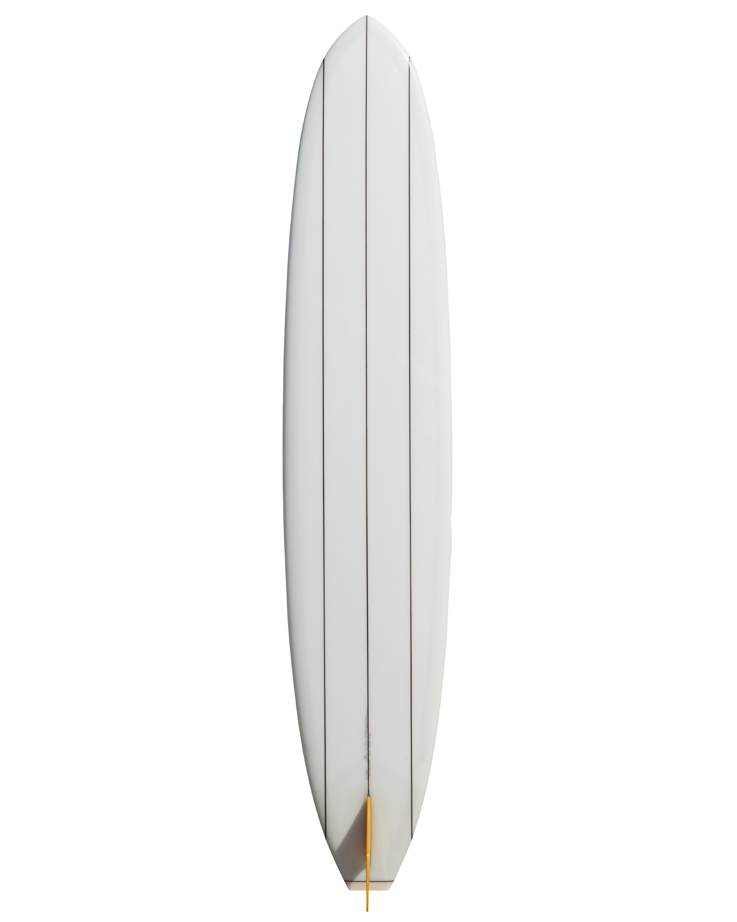 TSshape_bottom_2500px.png