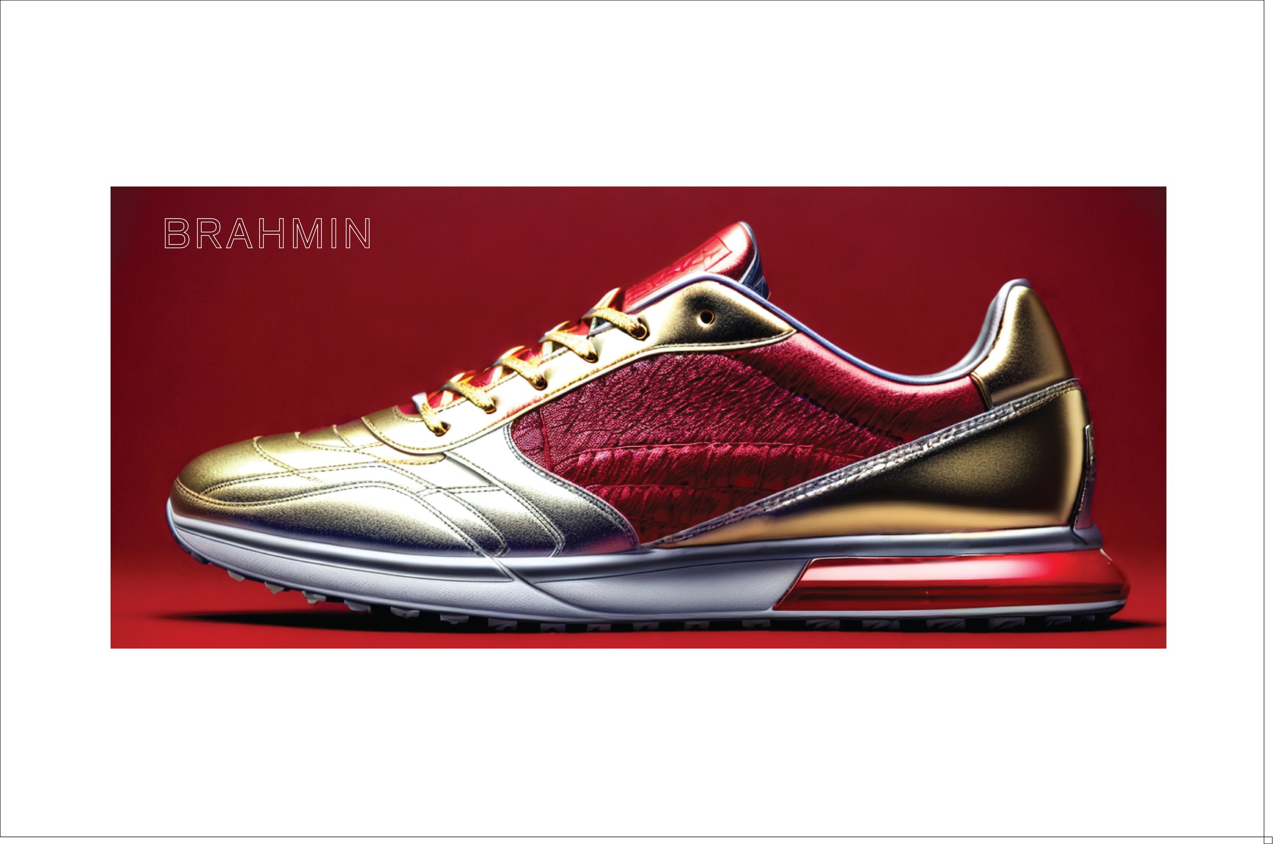 BRAHMIN Web Page1.jpg