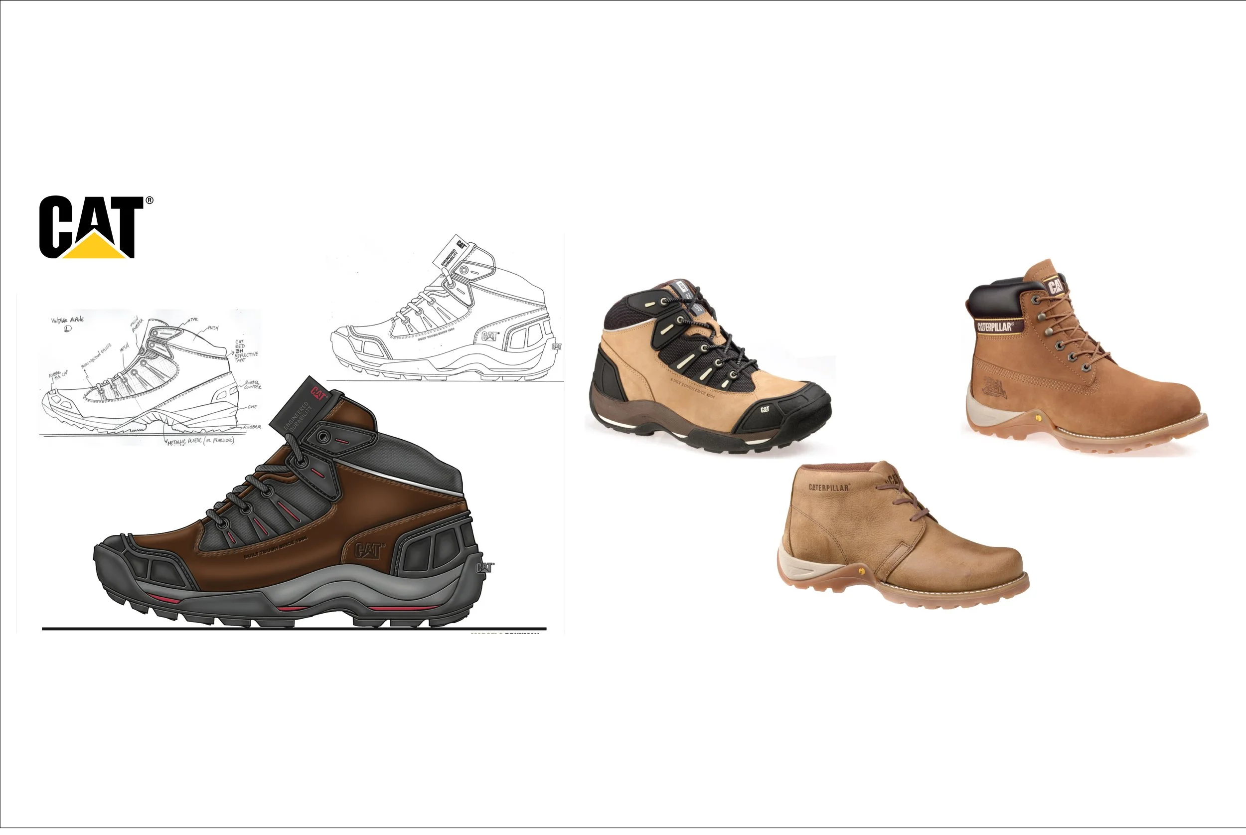 CAT Web Page 1 copy.jpeg