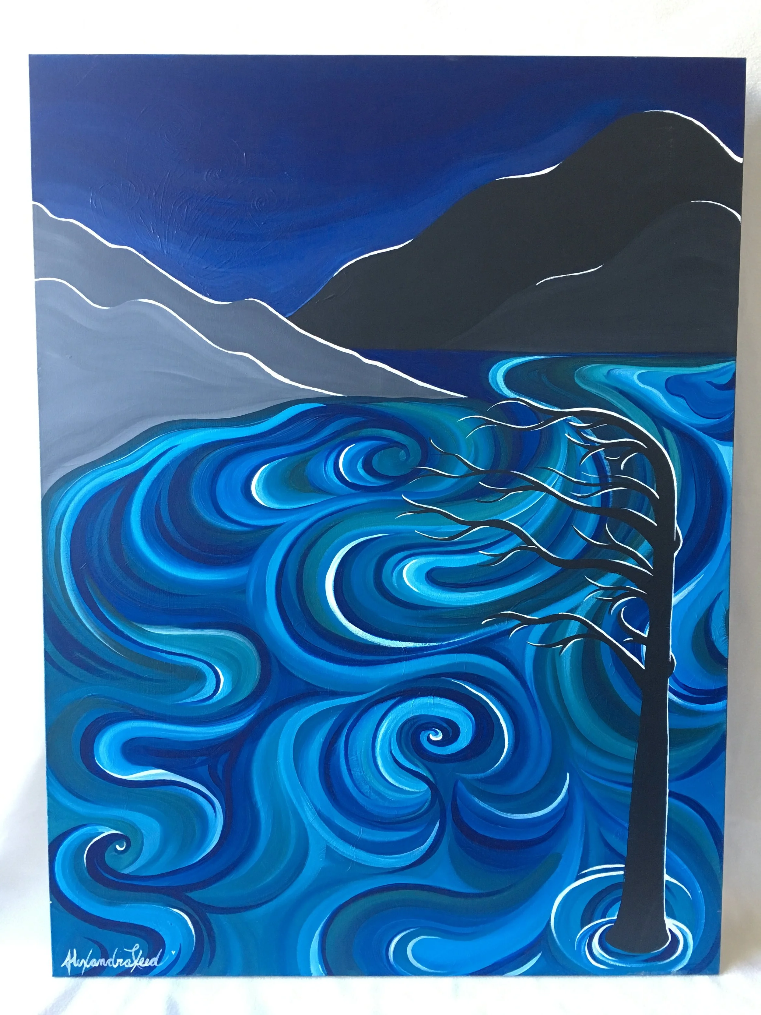 Photo 2016-05-05, 1 50 00 PM.jpg