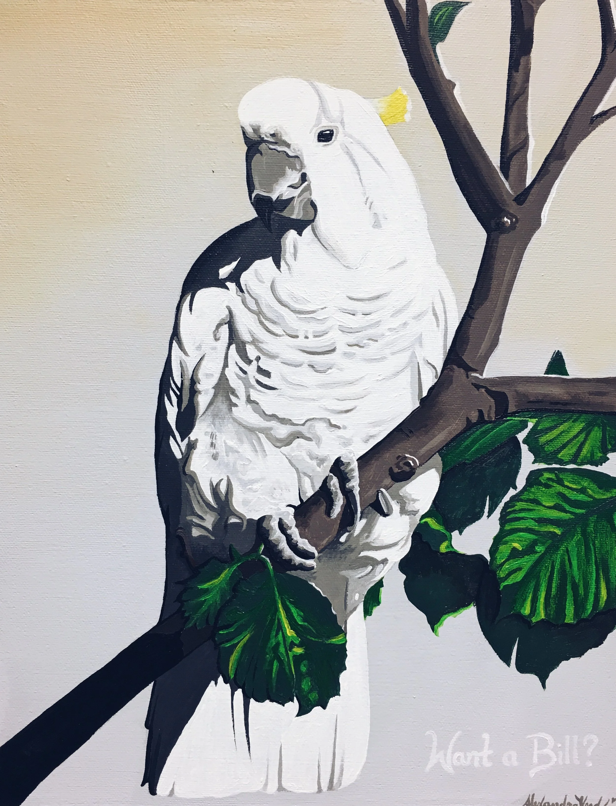 Photo 2016-05-22, 12 26 55 AM.jpg