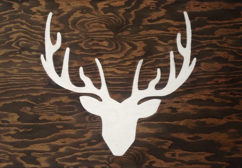 Photo 2017-03-15, 8 52 53 PM.jpg