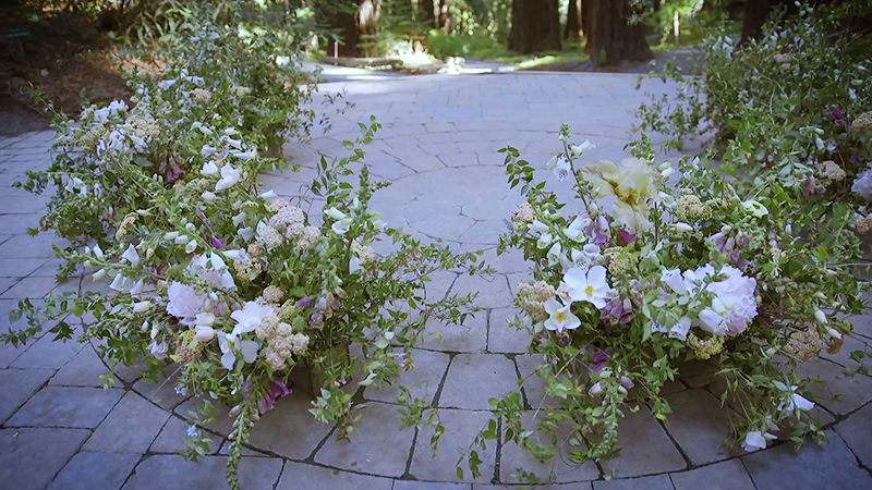 Diana_Derek_Berkeley_wedding_21.jpg