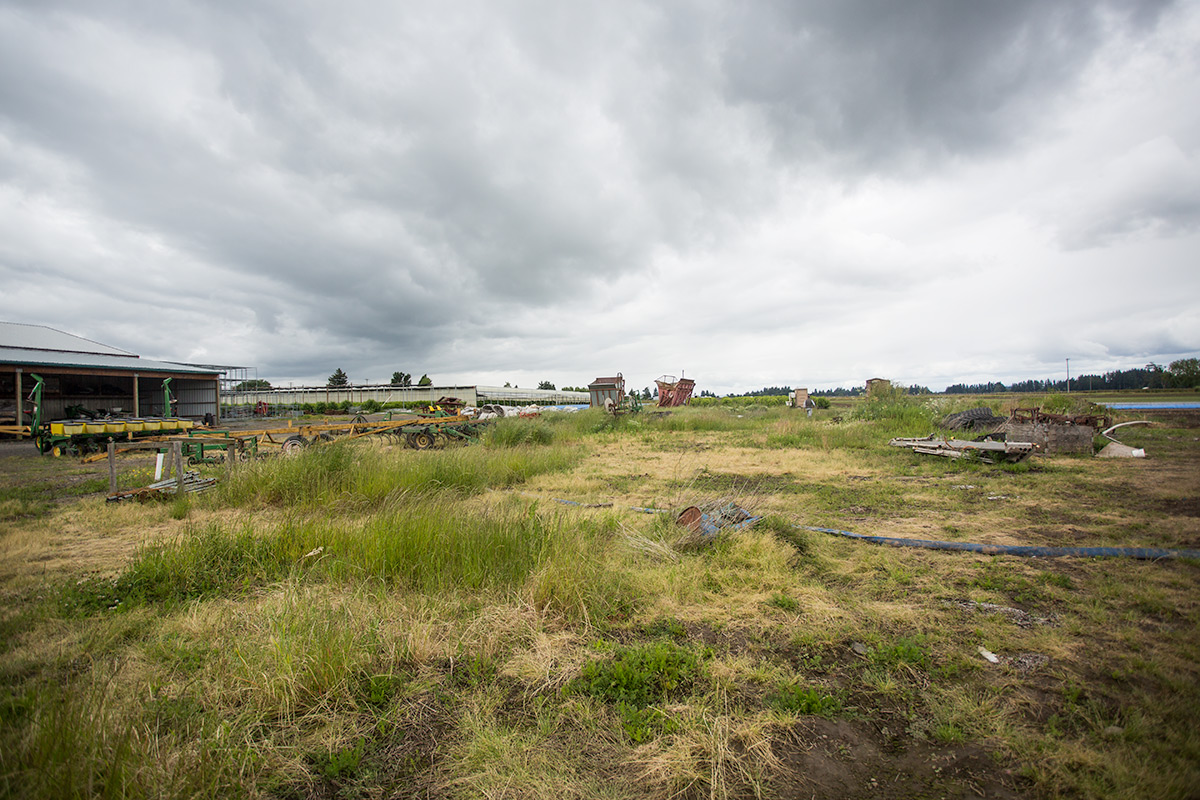 GDistrict-Hammelmans-SelaviePhoto-143.jpg