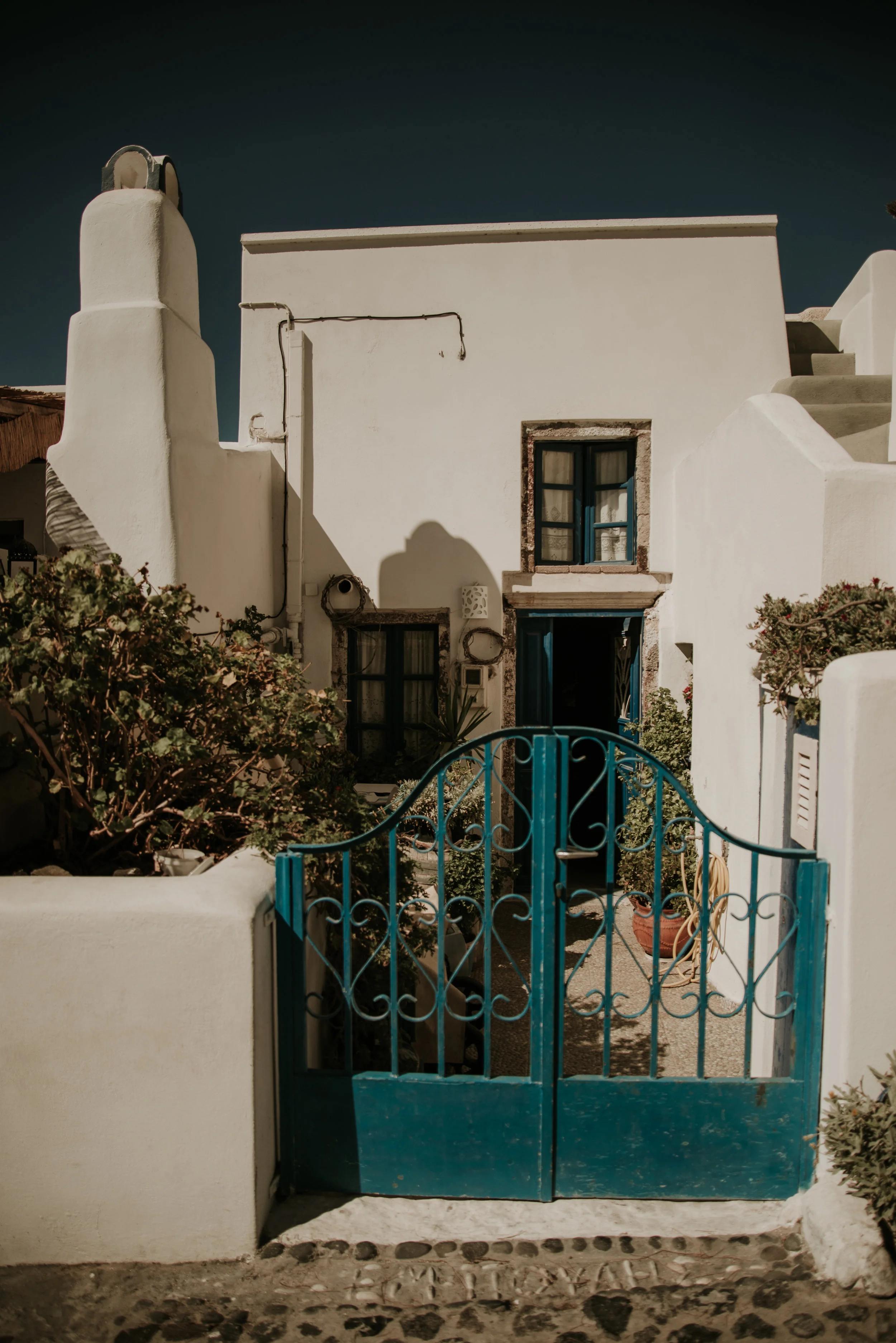 DSC_5681.jpg