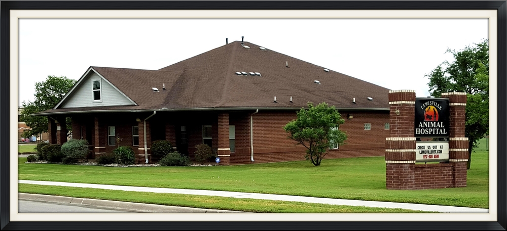 Lewisville Animal Hospital Lewisville Animal Hospital