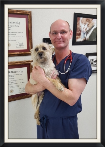 Dr. Pete Bone — Lewisville Animal Hospital