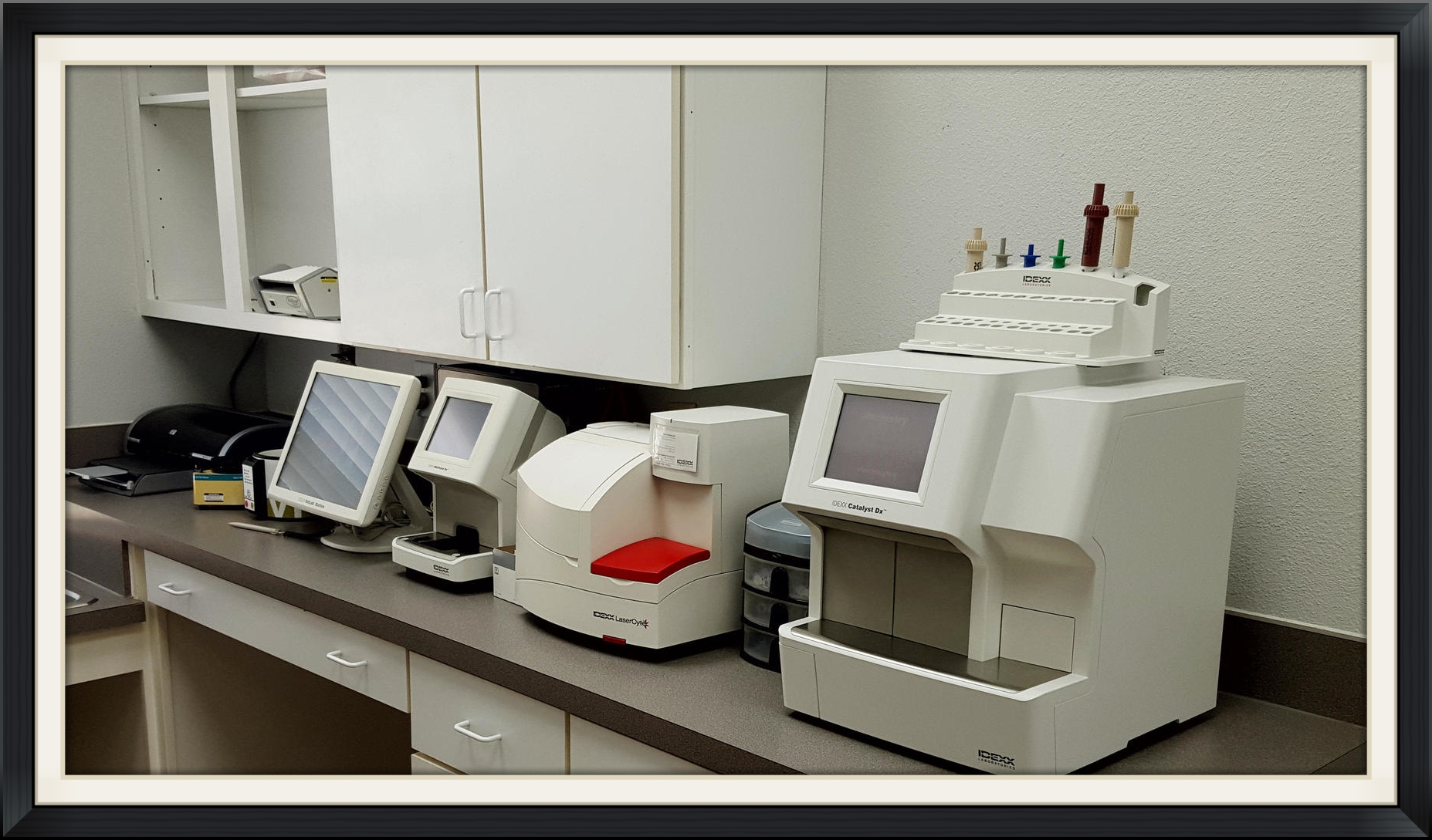 DIAGNOSTICS — Lewisville Animal Hospital DIAGNOSTICS — Lewisville Animal Hospital