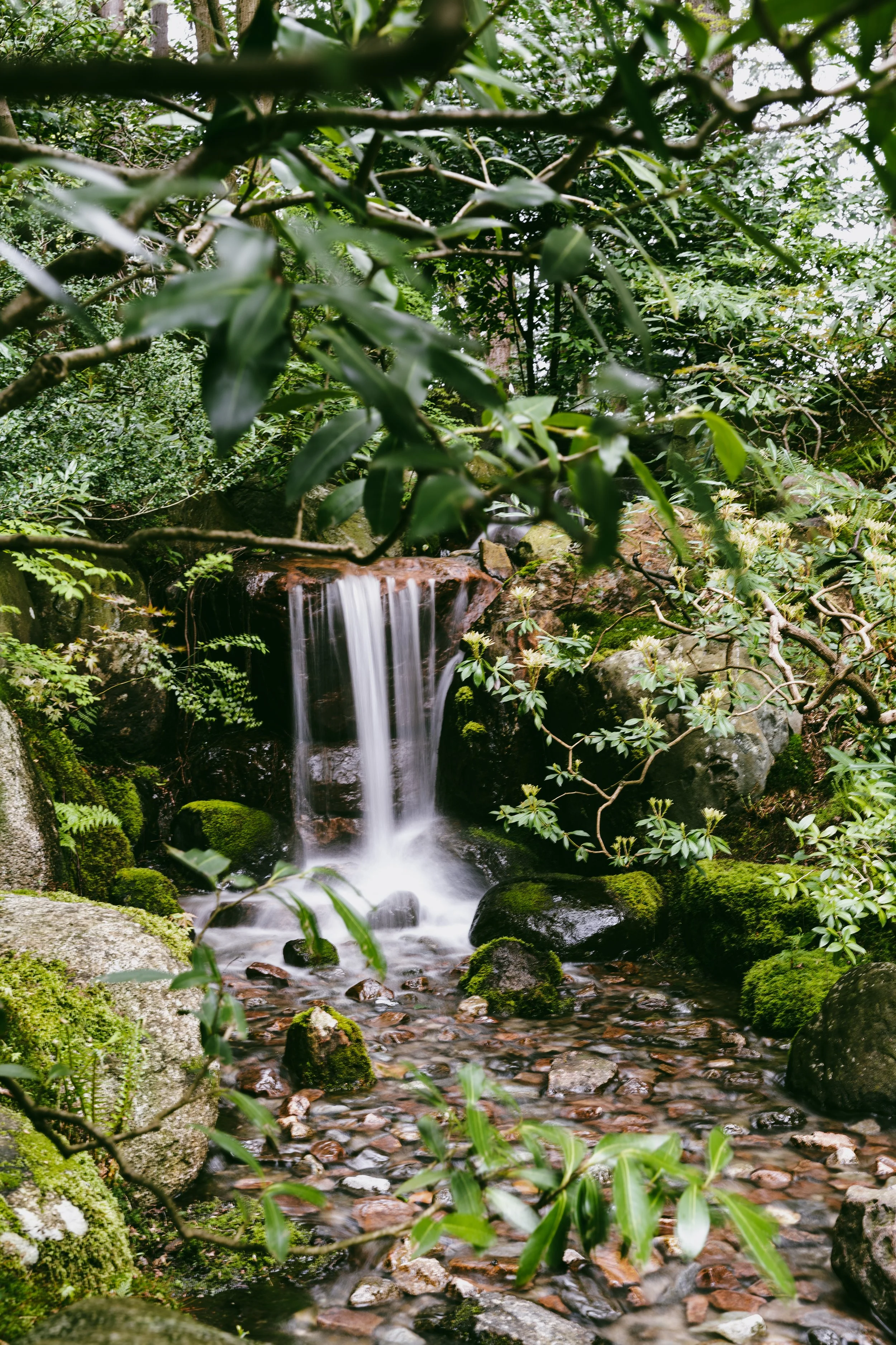 Spring in Vancouver-48.jpg