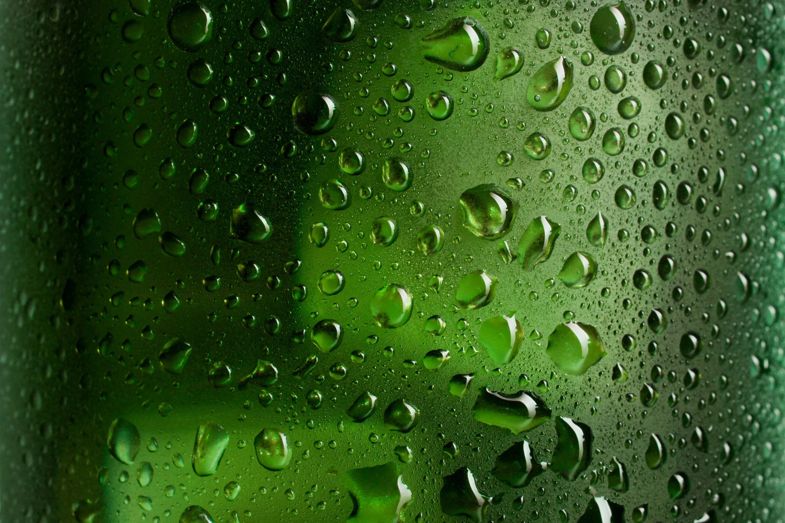 AGM Liquido-Klean-Kanteen-Verde0210.jpg