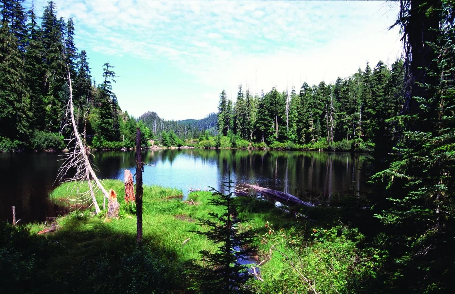 Crabtree Lake in Crabtree Valley, home to some of the largest and oldest trees in Oregon, located on western Oregon public lands administered by the Bureau of Land Management, in Linn County, is part of the proposed Douglas-Fir National Monument . Photo: David Stone, Wildlands Photography.