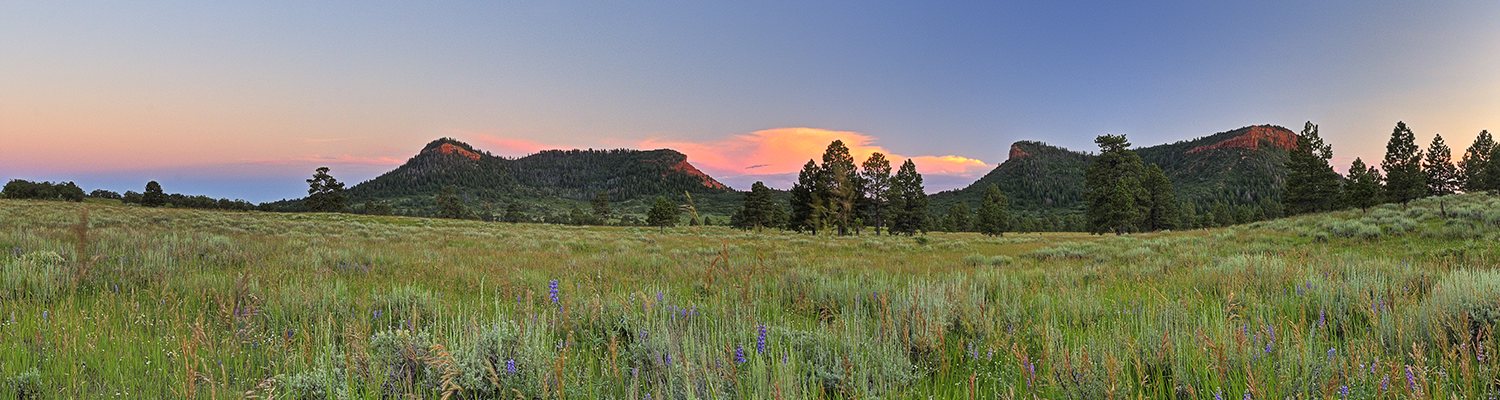 It's all about the Bears Ears National Monument in southern Utah. Source: Tim Peterson, Grand Canyon Trust.