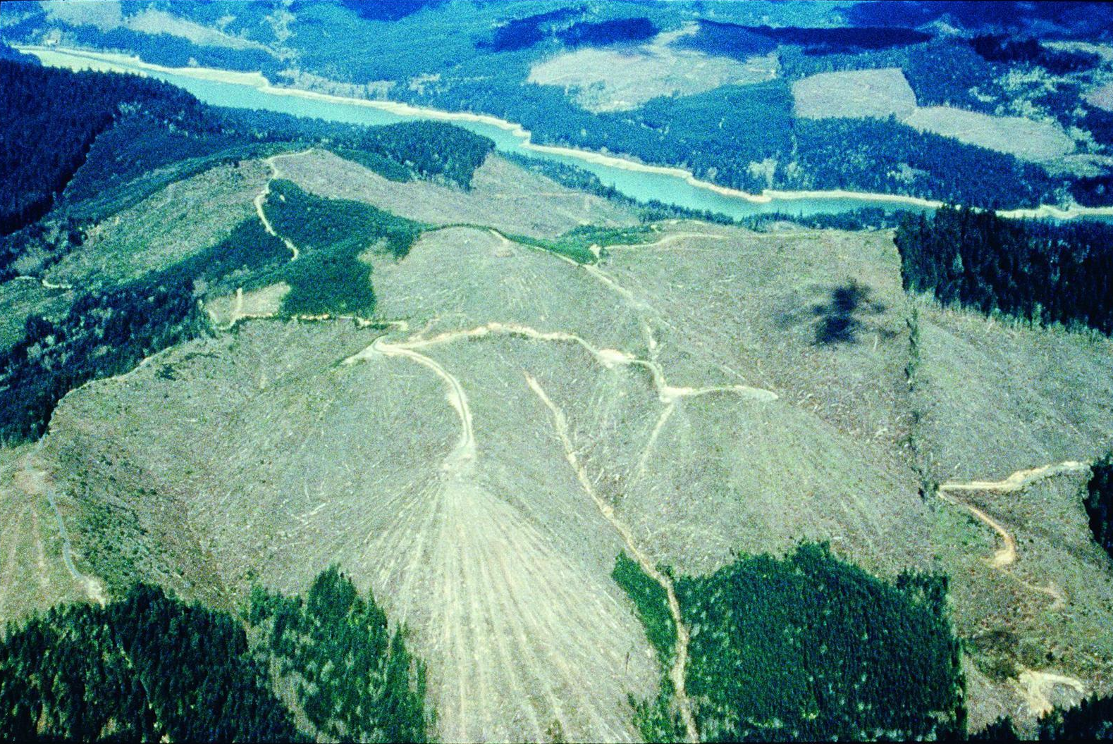 Logging in Lane County, Oregon on both public and private lands. Source: Elizabeth Feryl, Environmental Images.
