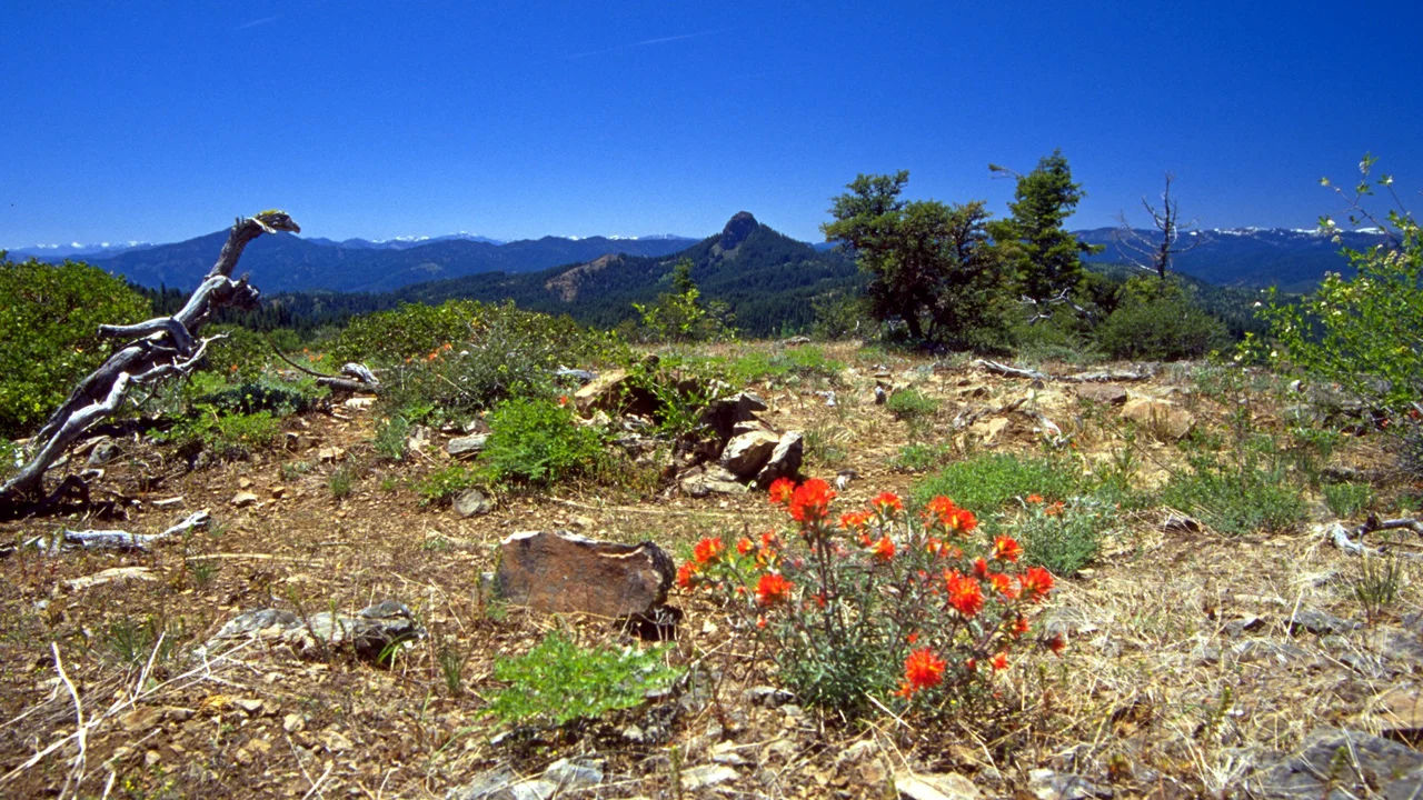 In the middle ground is Pilot Rock, the most prominent landmark within the Cascade-Siskiyou National Monument in Oregon and California. Source: USDI Bureau of Land Management