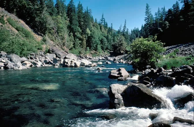 The Chetco Wild and Scenic River near the mouth of Boulder Creek. Above the mouth the Chetco WSR is classified as "wild" (no mining) and below the mouth it is classified as "scenic" (and eventually "recreational" (mining allowed in both). Source: Lee Webb, US Forest Service.