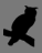 Owl.png