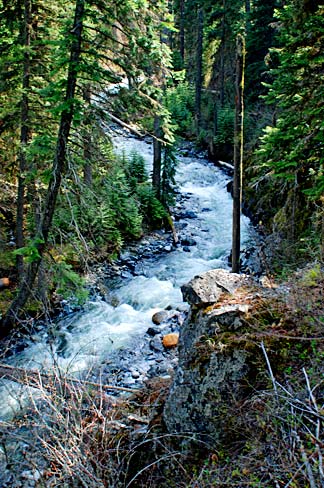 WestForkWallowaRiverGaryHalvorsonOregonStateArchivesjpg.jpg