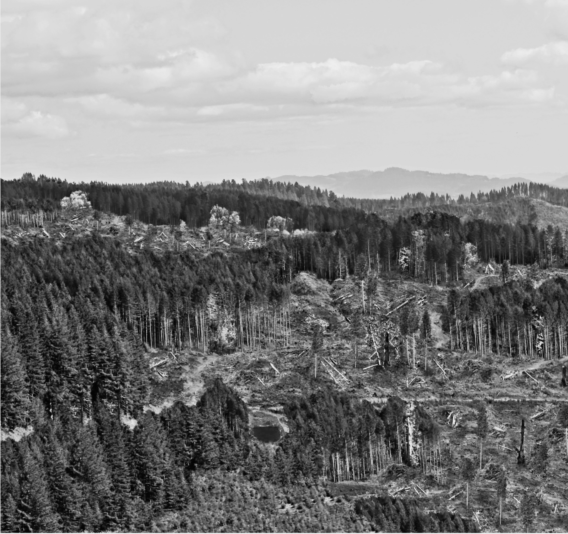  Figure 1. Variable retention harvest. Caption from the book: “Simulation of variable retention harvest in the Oregon Coast Range that retained one-third of the stand mostly in aggregates.” At the authors’ direction a student “photoshopped” a real 55-year old Douglas-fir plantation in the Oregon Coast Range to depict what “Norm and Jerry” logging would look like. Source: Ecological Forest Management , page 90 (image taken by Laura Hardin).