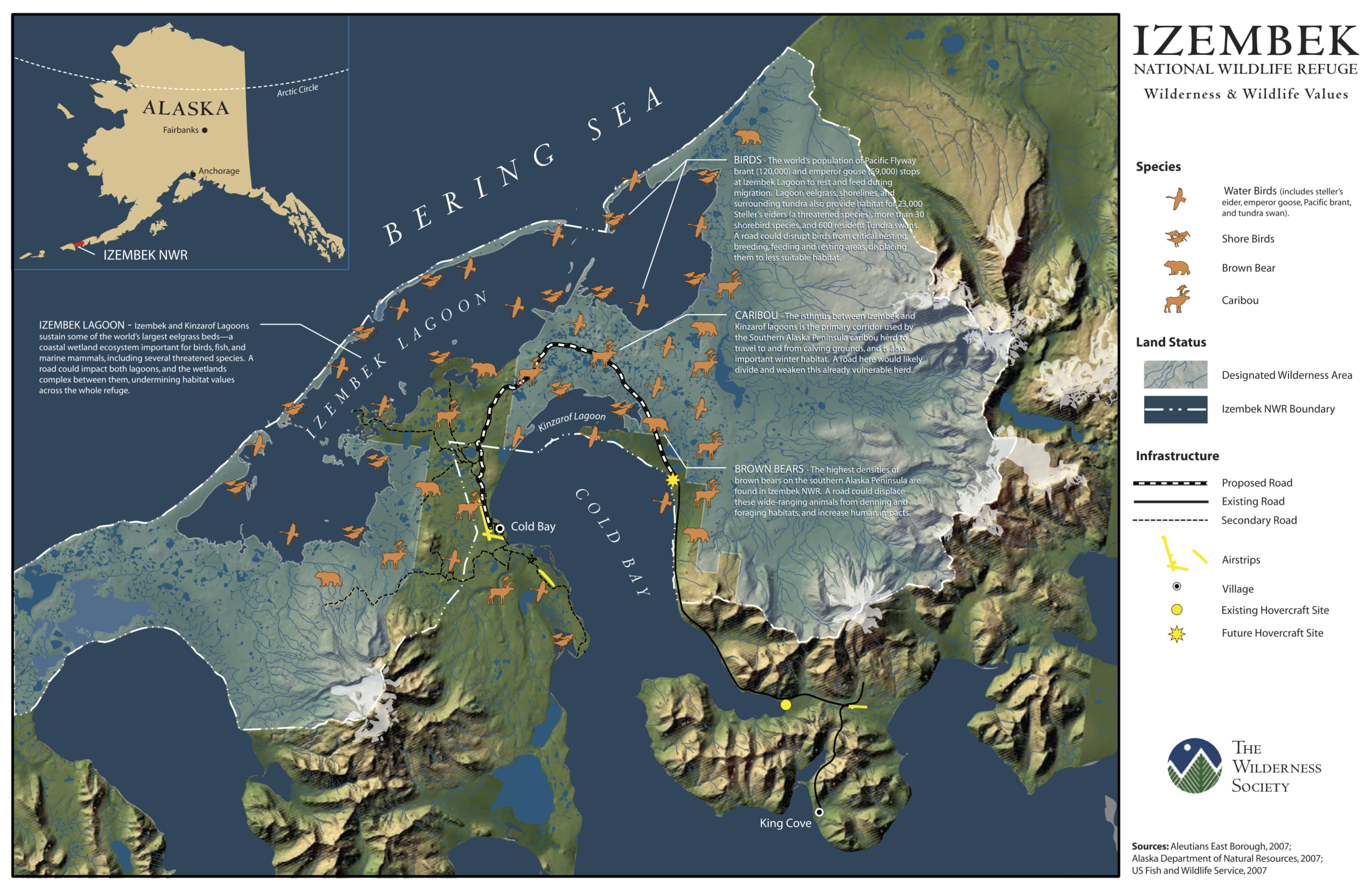 Map 2. The Izembek National Wildlife Refuge and Wilderness, shown with annotations of important concentrations of water birds, shorebirds, brown bears, and caribou, and the route of the proposed road (click on source for a larger image). Source: The Wilderness Society .