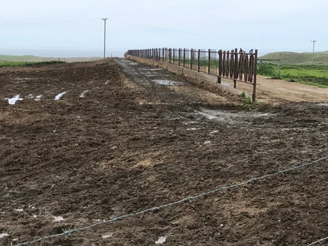 feedlot-L-ranch.jpg