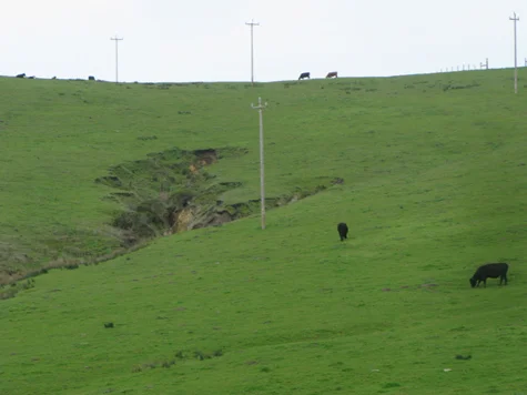 headcut-Home-Ranch.jpg