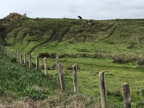 trailing-E-ranch.jpg