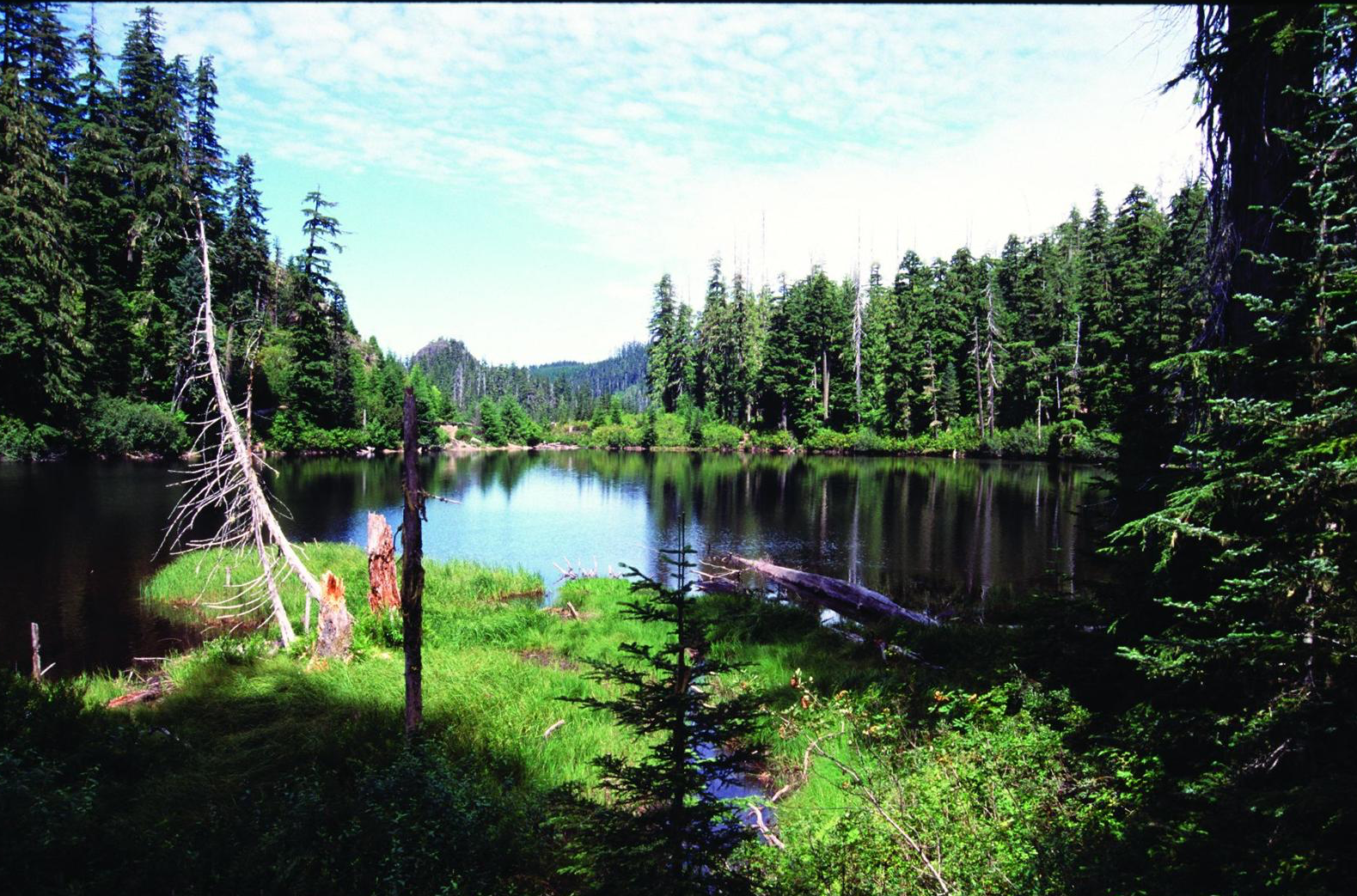 Fig. 1. Crabtree Lake in Crabtree Valley, which contains some of the oldest trees in Oregon, is in the proposed Douglas Fir National Monument, located in Oregon’s Cascade Mountains. Source: David Stone, Wildlands Photography. Previously appeared in Oregon Wild: Endangered Forest Wilderness (Timber Press, 2004), by the author.