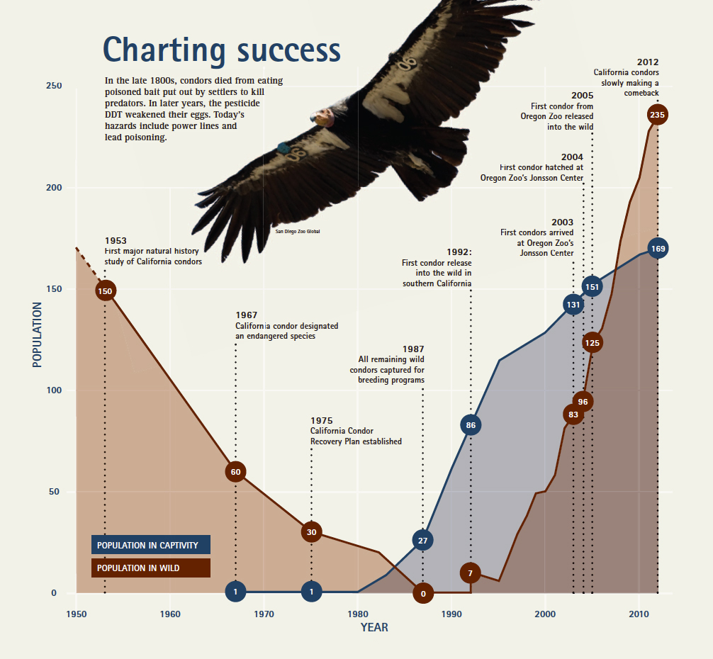 Fig. 3. The decline and rise of the California condor . Source: Oregon Zoo .